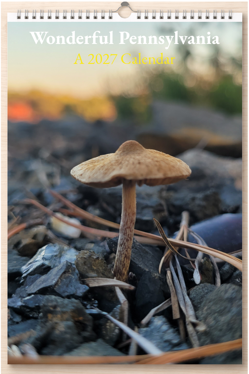 Wonderful Pennsylvania: A 2027 Calendar