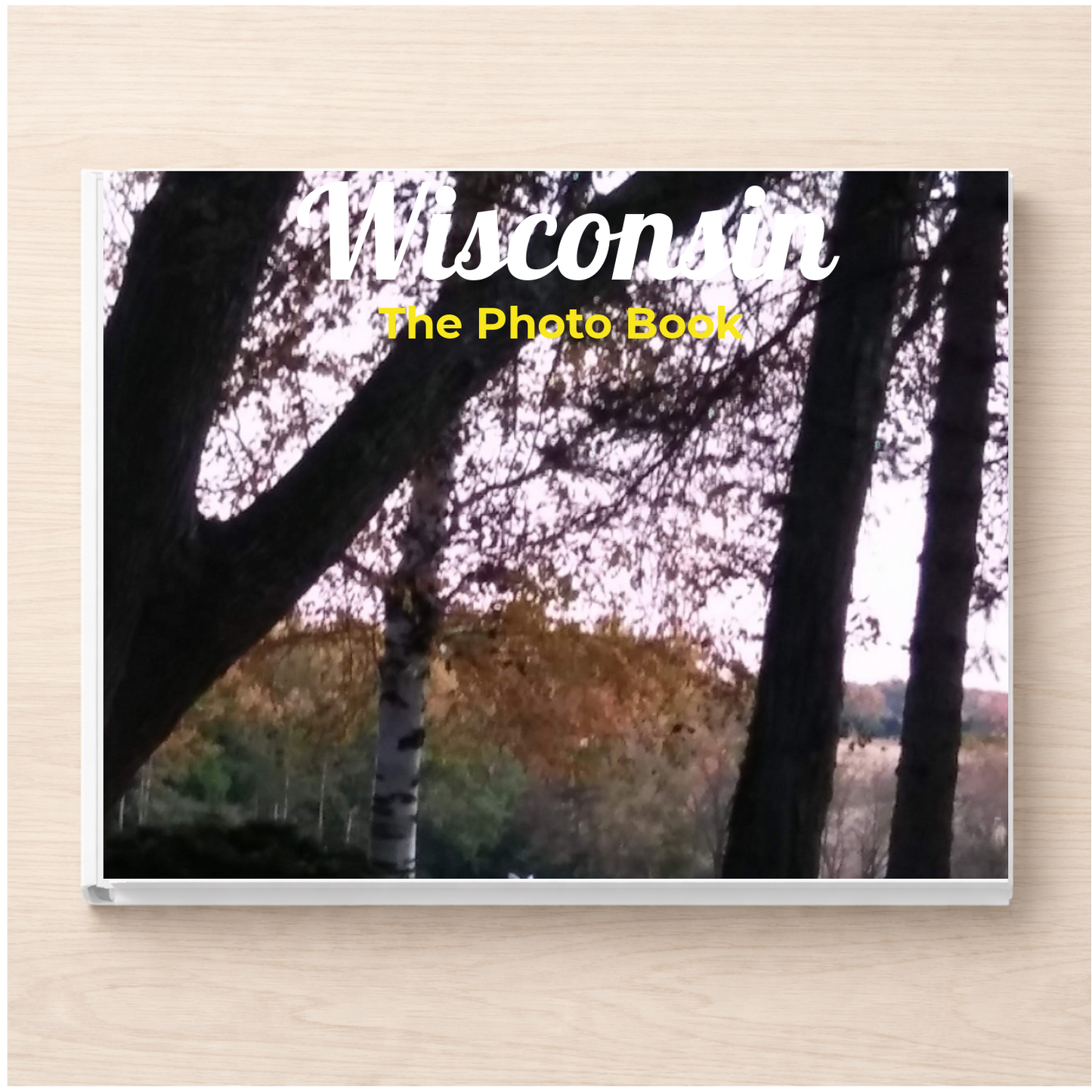 Wisconsin: The Photo Book