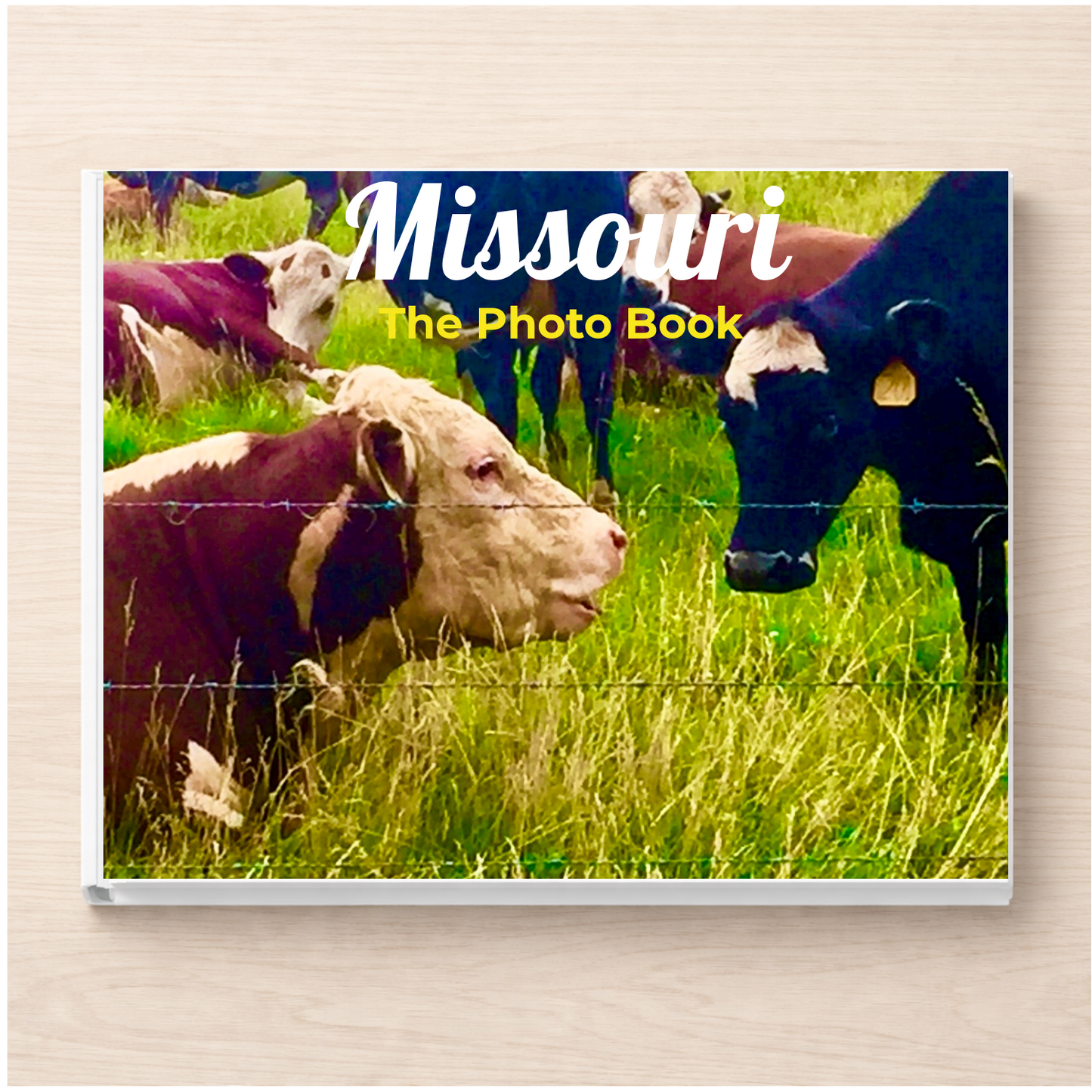 Missouri: The Photo Book