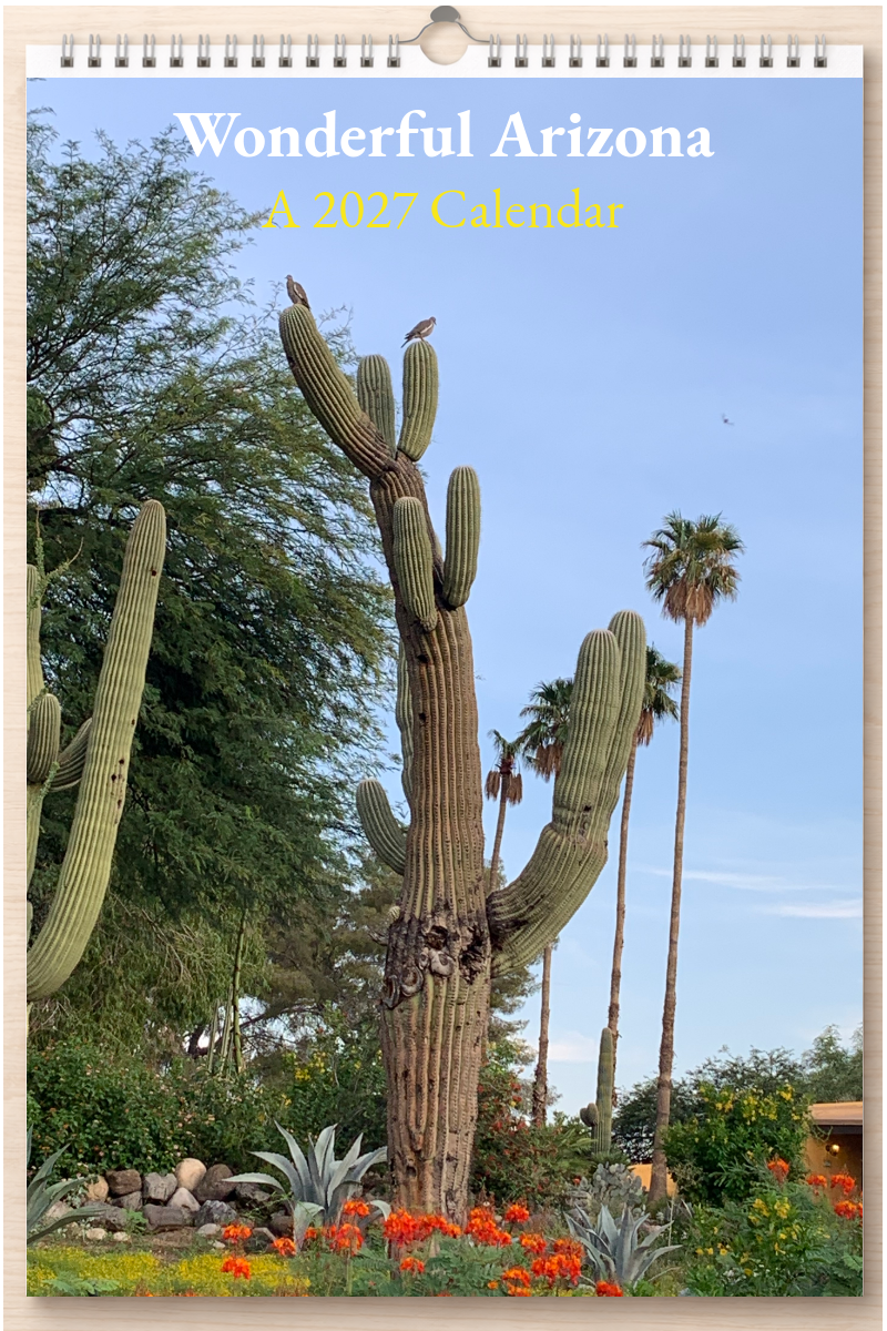 Wonderful Arizona: A 2027 Calendar
