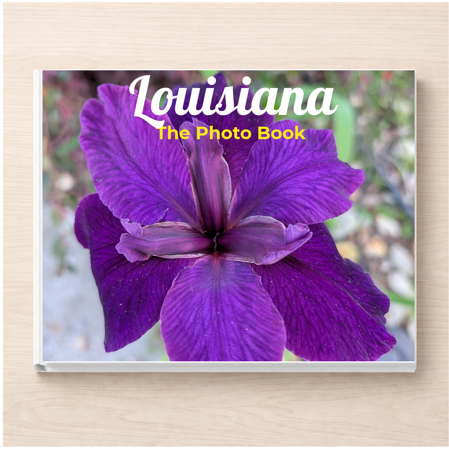 Louisiana: The Photo Book