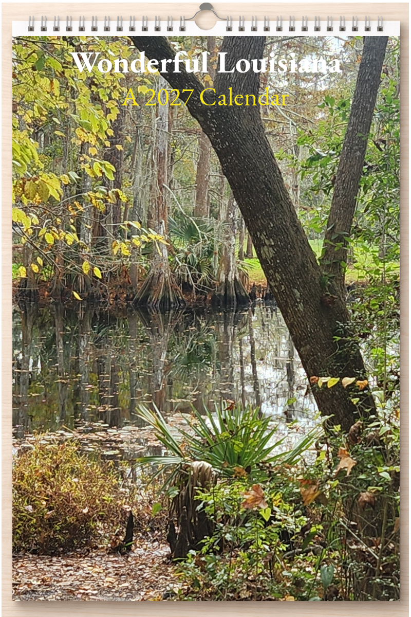 Wonderful Louisiana: A 2027 Calendar