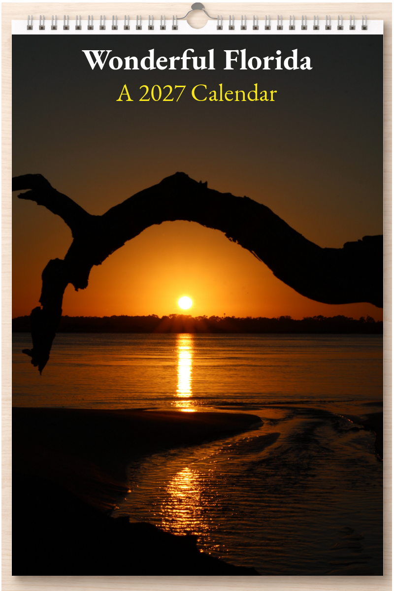 Wonderful Florida: A 2027 Calendar
