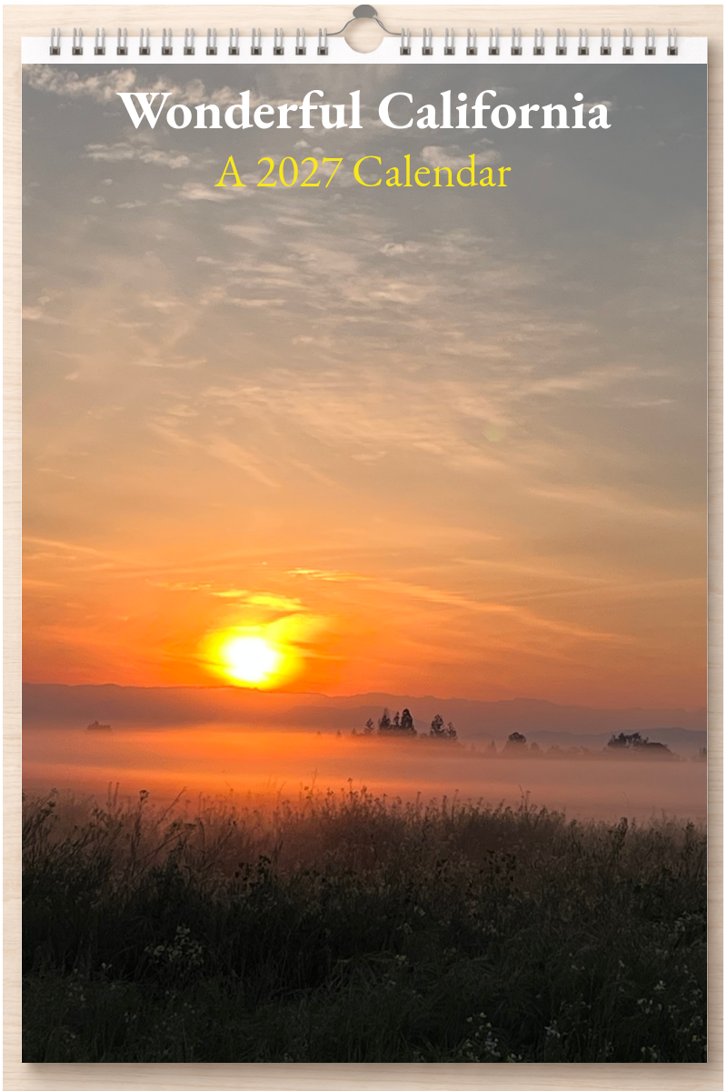Wonderful California: A 2027 Calendar