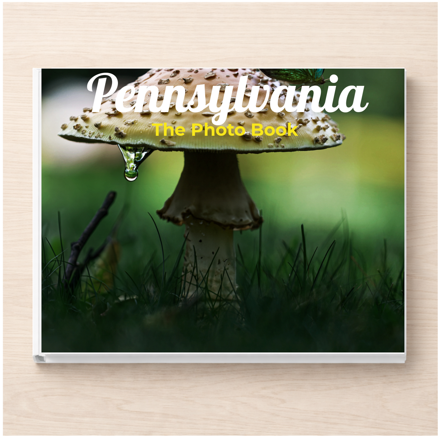 Pennsylvania: The Photo Book