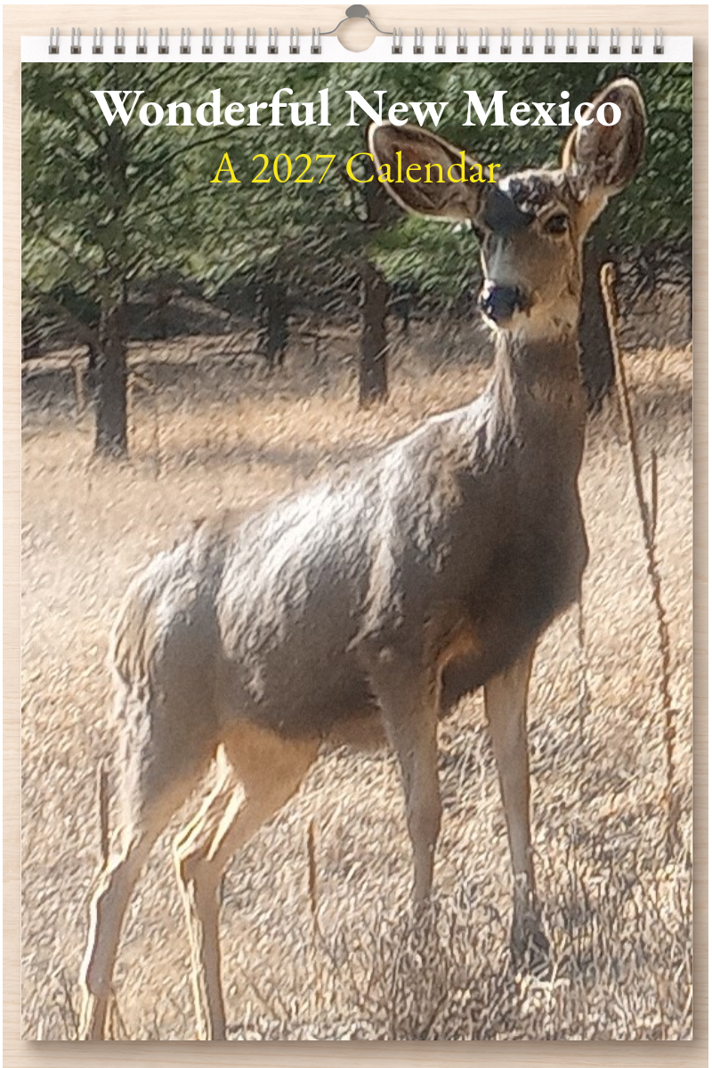 Wonderful New Mexico: A 2027 Calendar