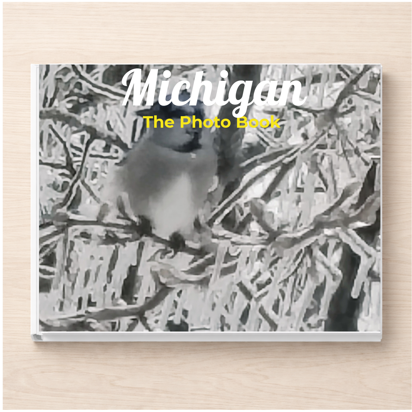 Michigan: The Photo Book