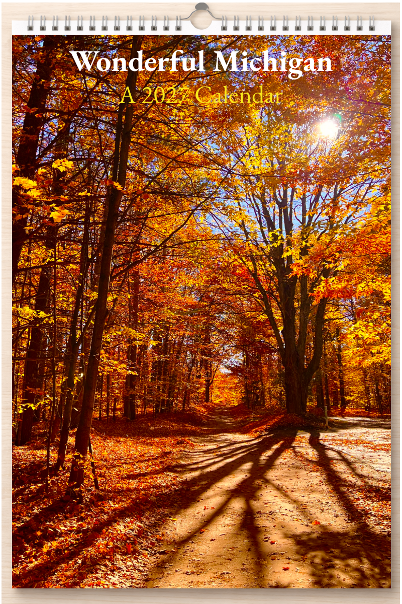 Wonderful Michigan: A 2027 Calendar