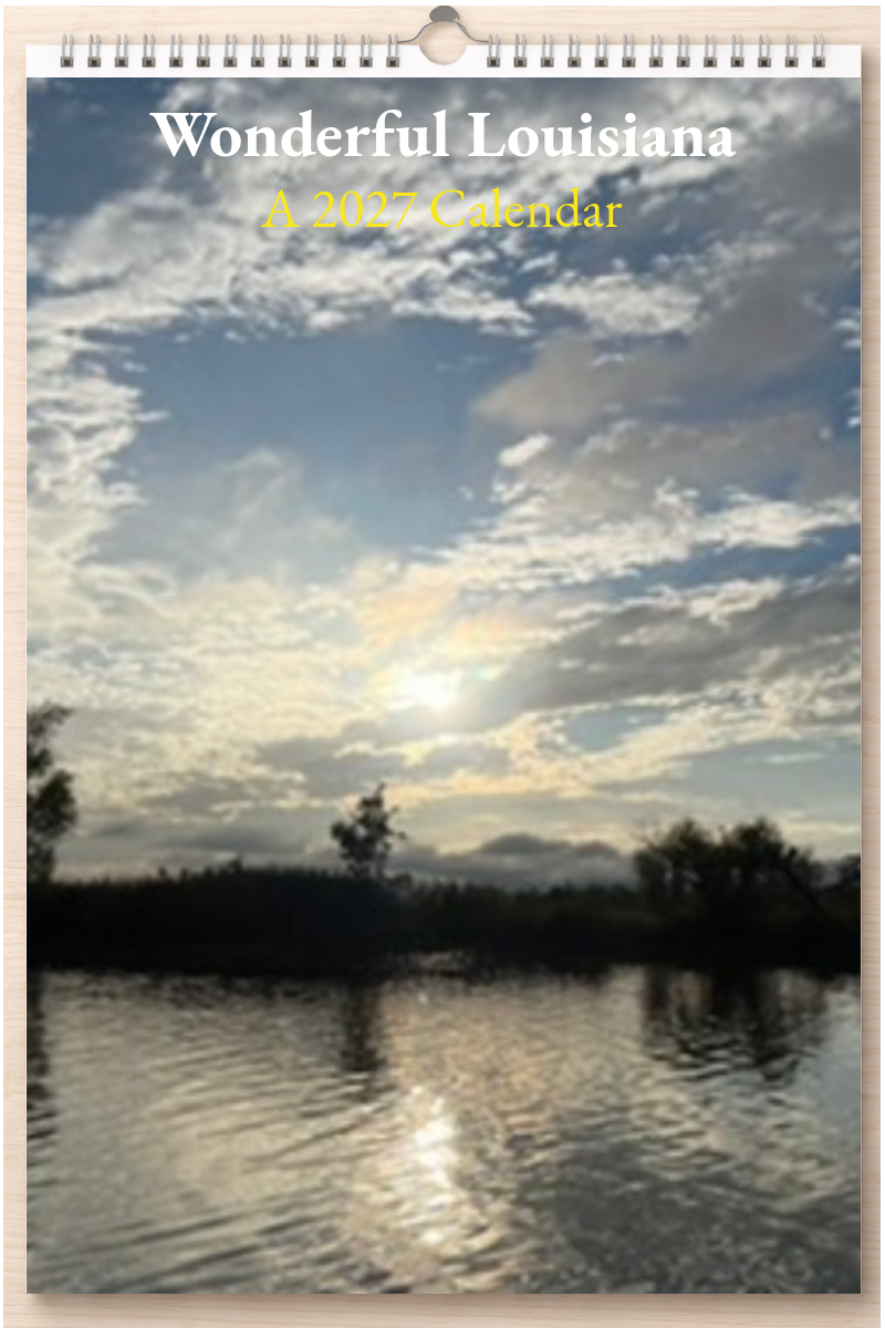 Wonderful Louisiana: A 2027 Calendar