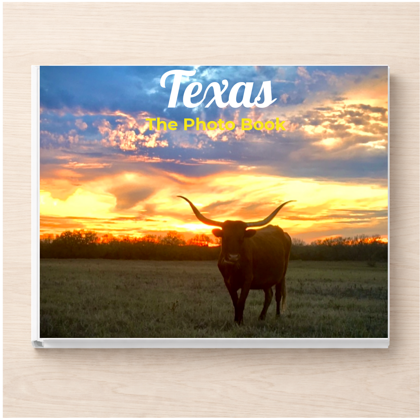 Texas: The Photo Book
