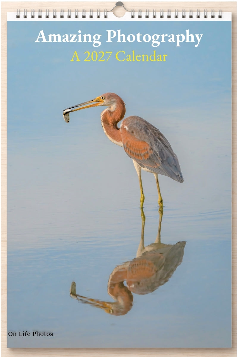 Amazing Photography: A 2027 Calendar