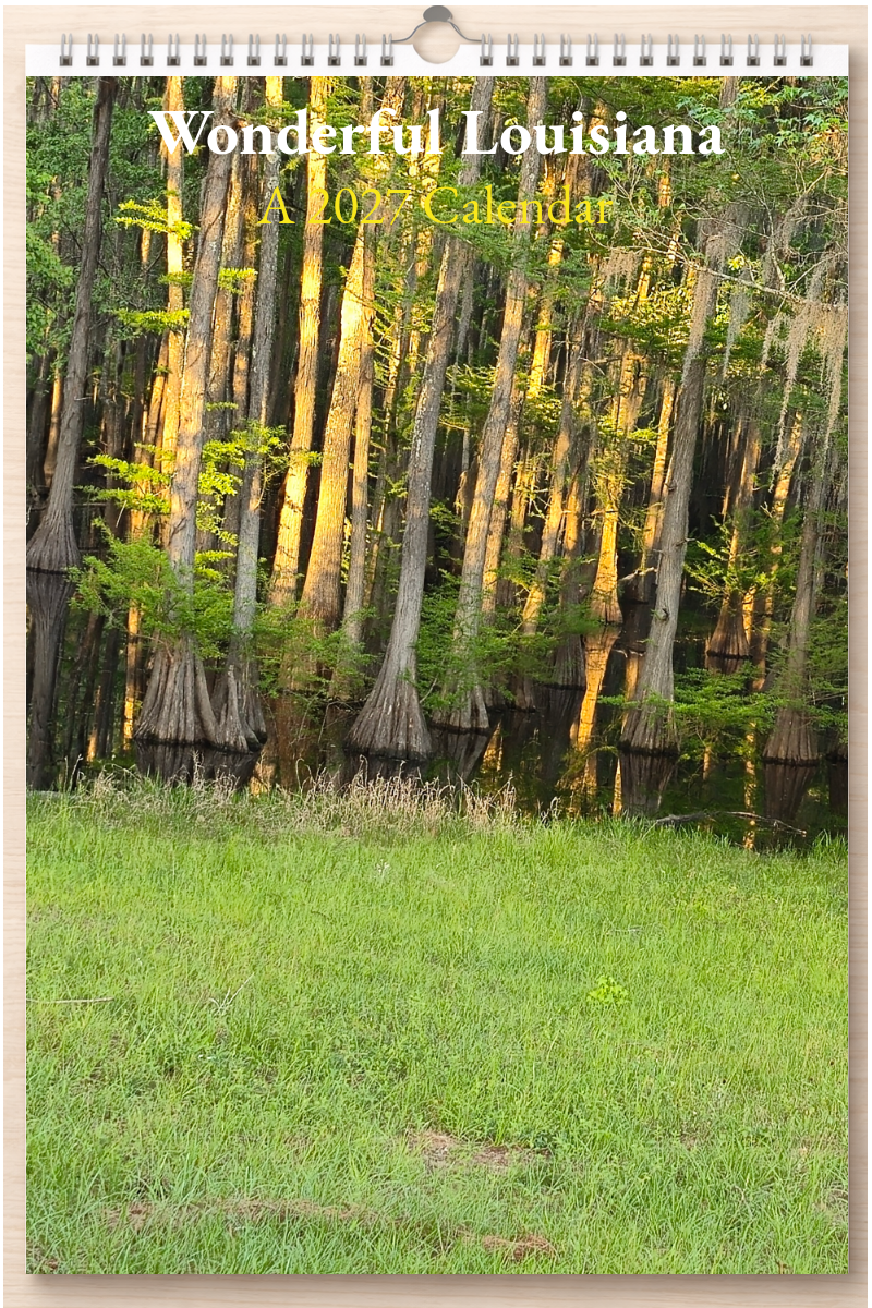 Wonderful Louisiana: A 2027 Calendar