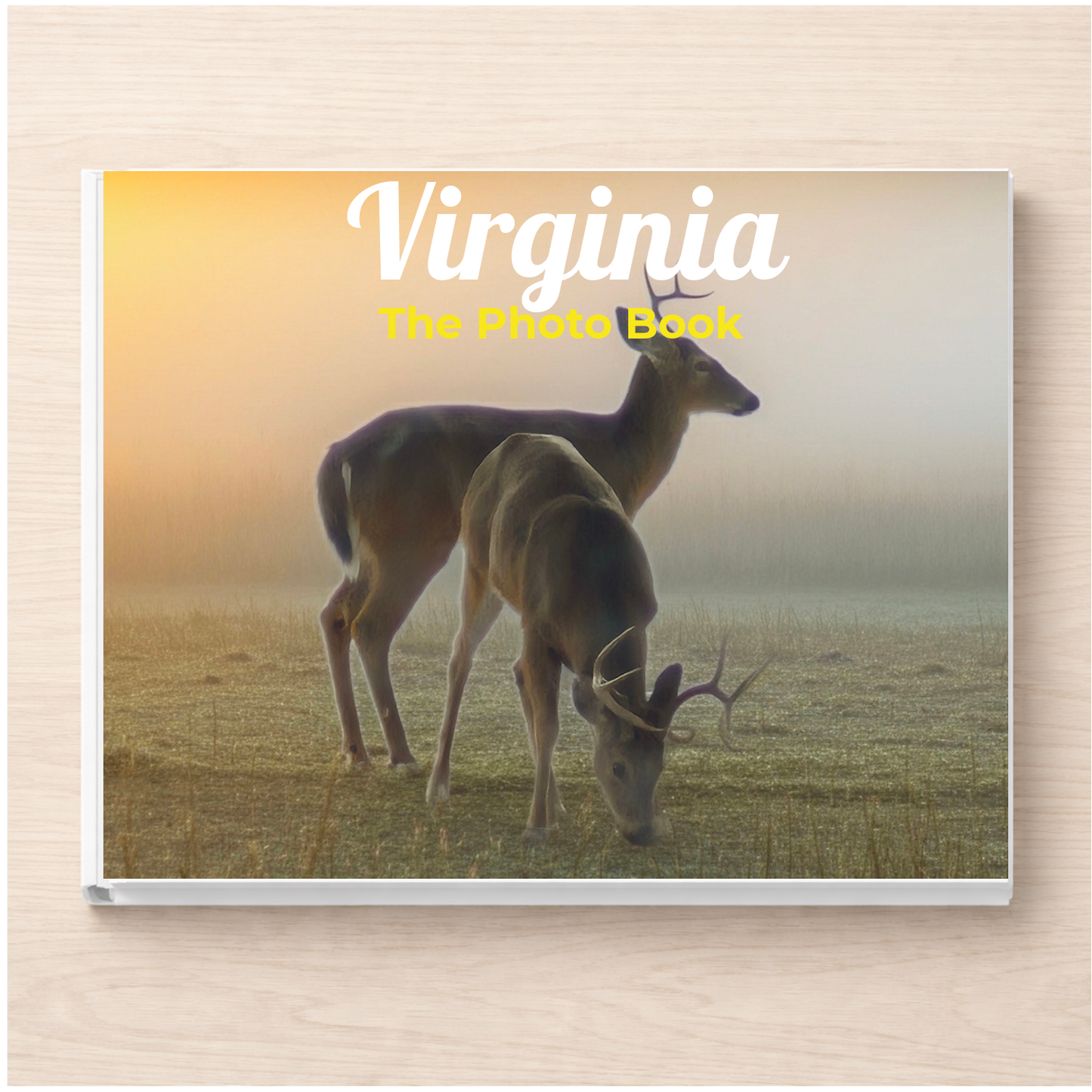 Virginia: The Photo Book