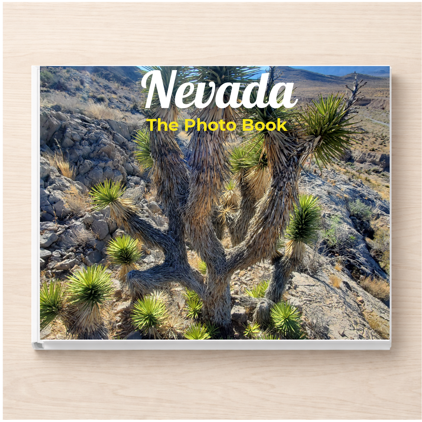 Nevada: The Photo Book