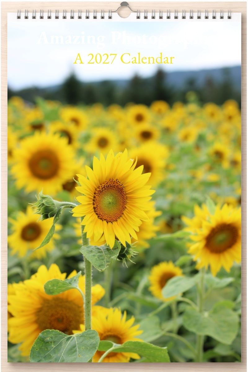 Amazing Photography: A 2027 Calendar