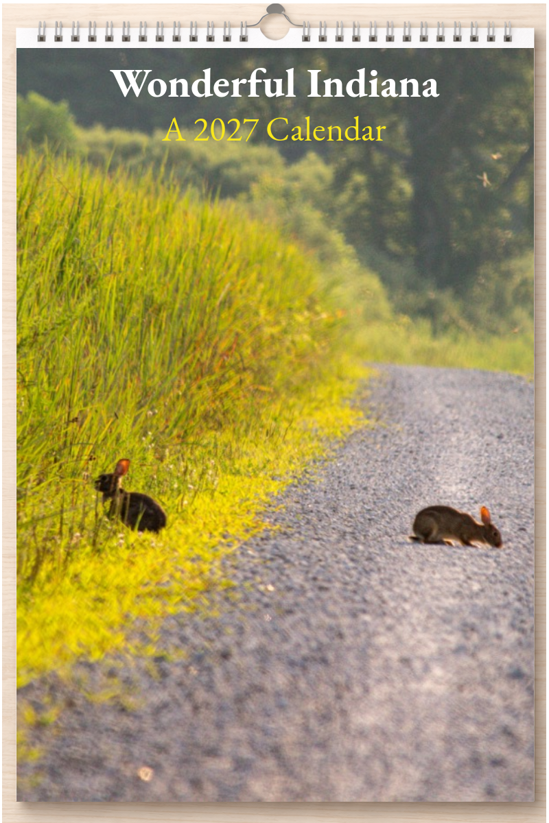 Wonderful Indiana: A 2027 Calendar
