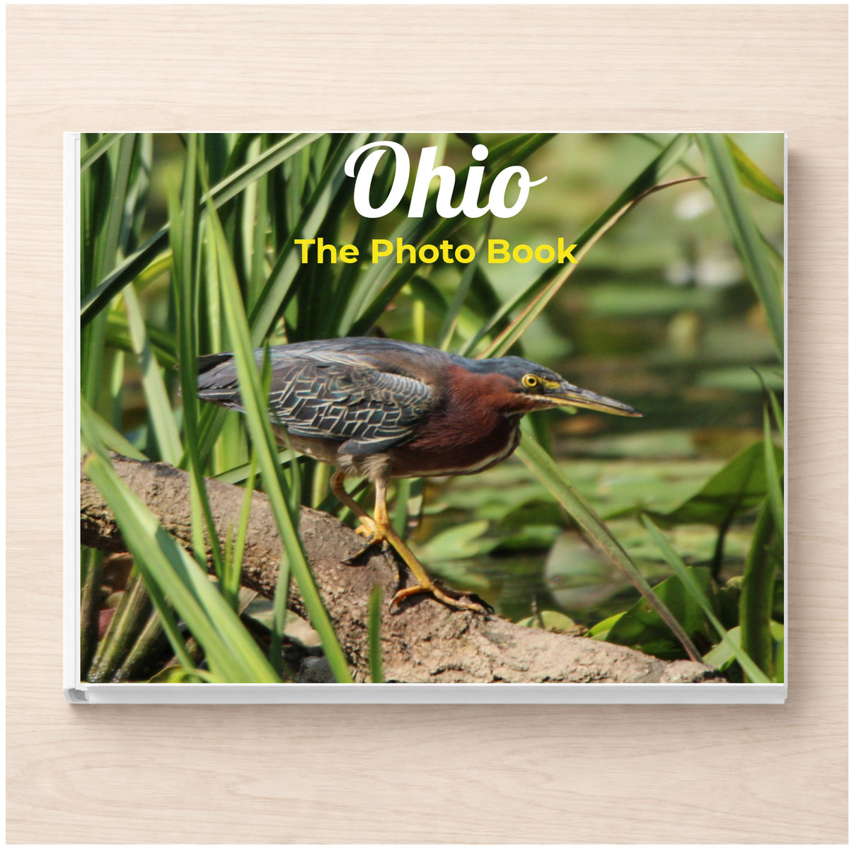 Ohio: The Photo Book – Silent Spark Press