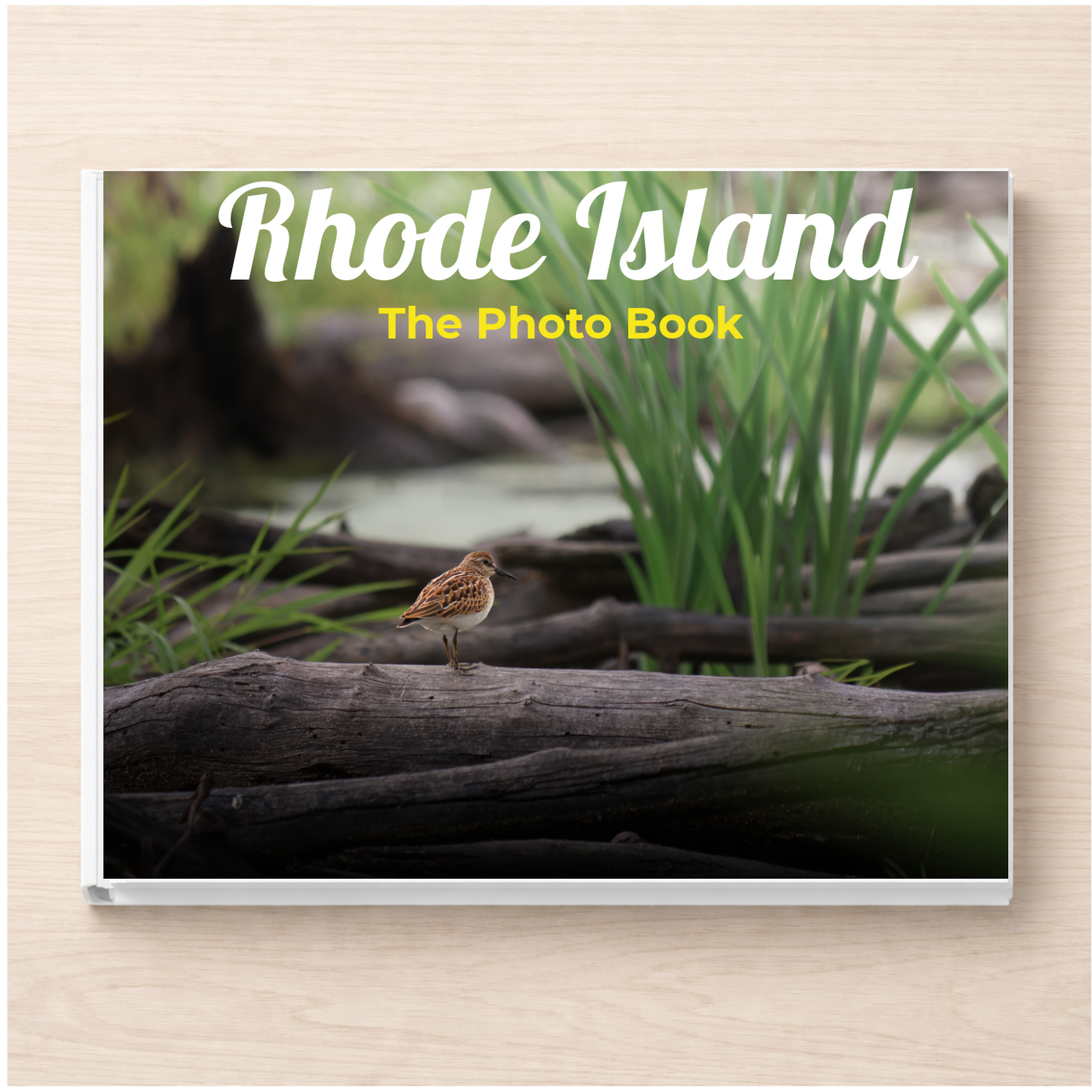 Rhode Island: The Photo Book
