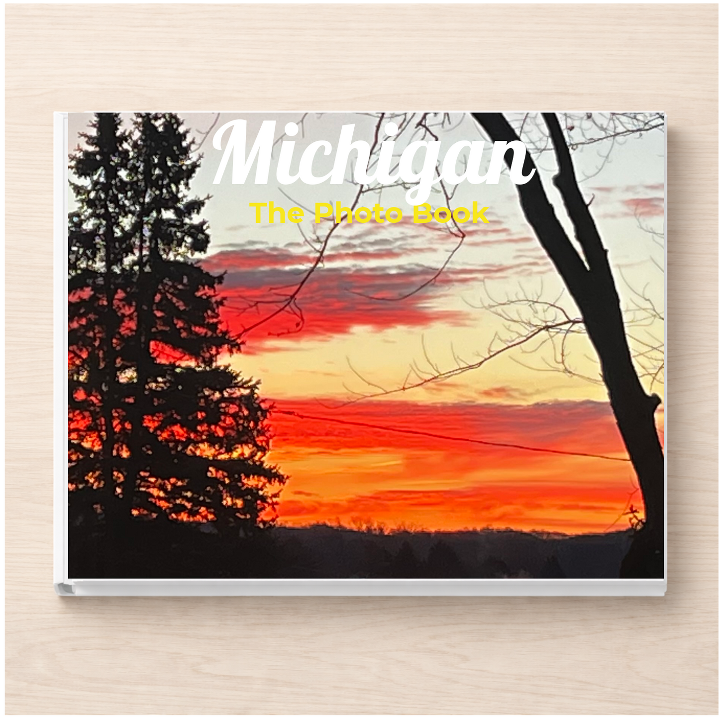 Michigan: The Photo Book