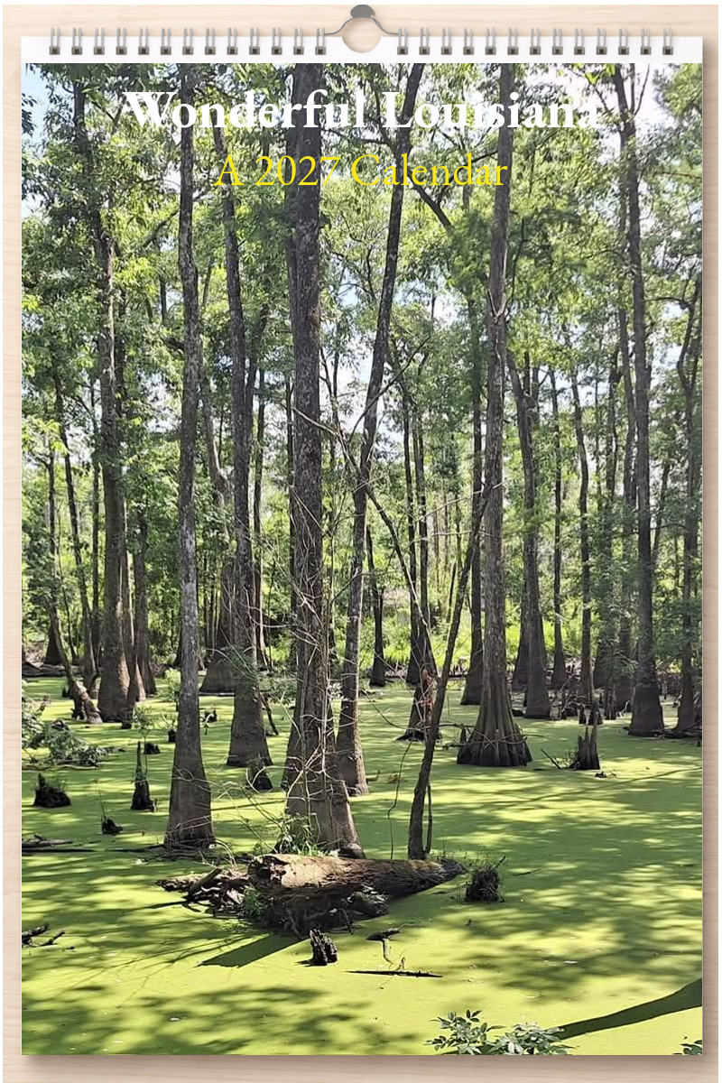 Wonderful Louisiana: A 2027 Calendar