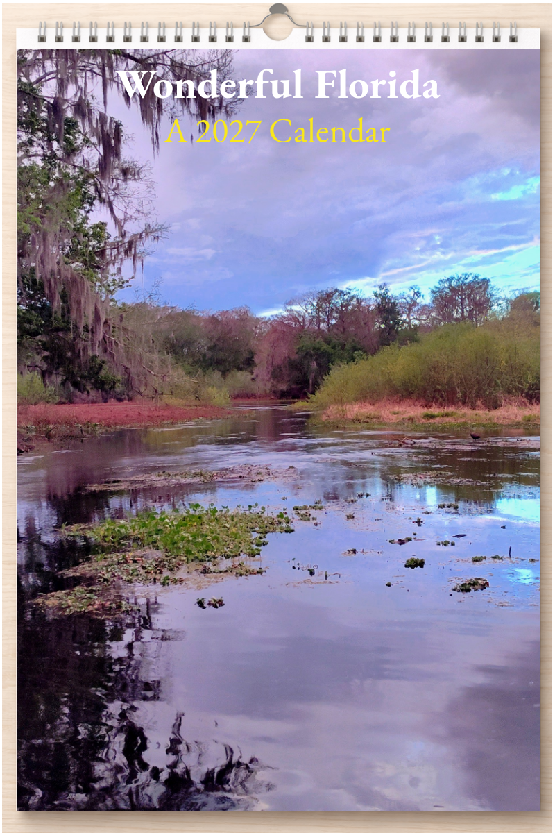 Wonderful Florida: A 2027 Calendar