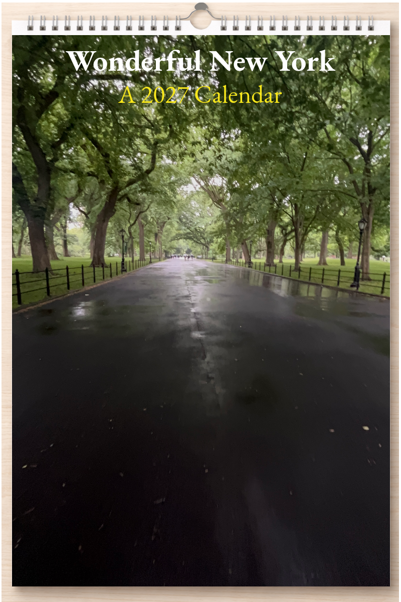 Wonderful New York: A 2027 Calendar