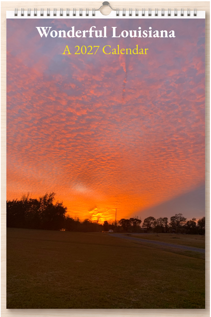 Wonderful Louisiana: A 2027 Calendar