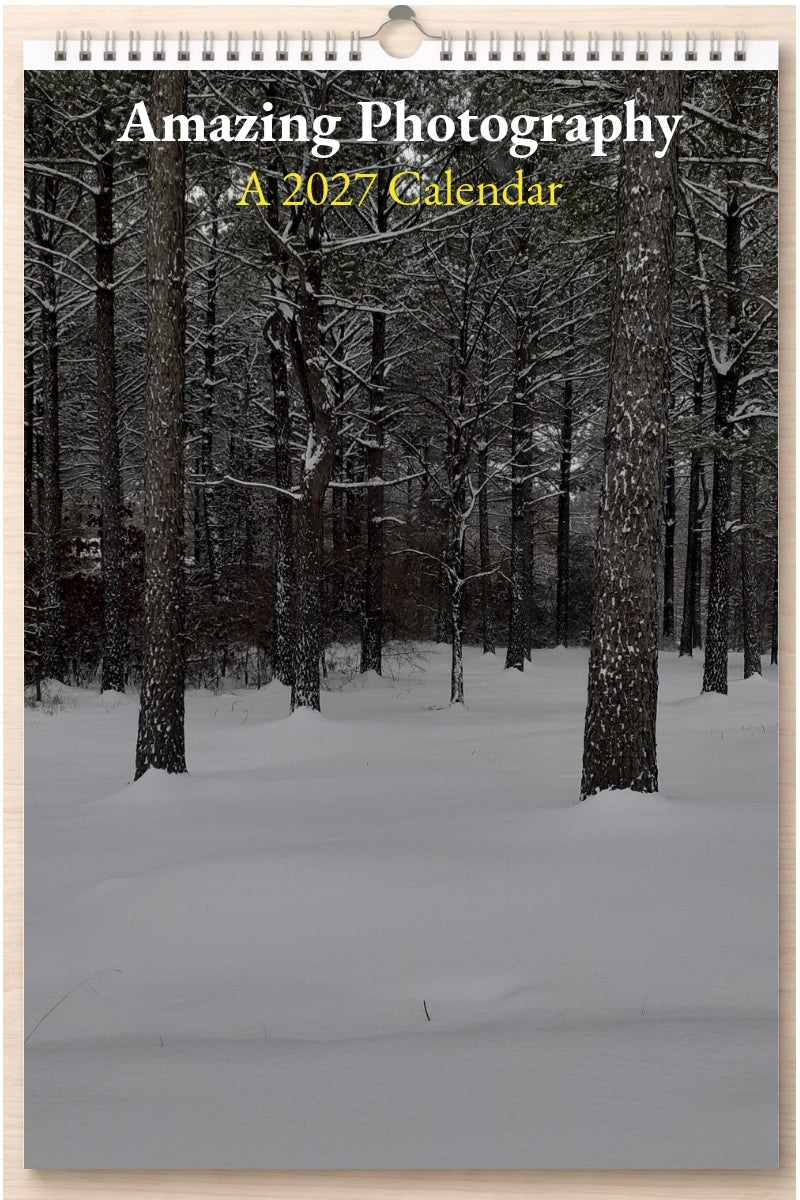 Amazing Photography: A 2027 Calendar