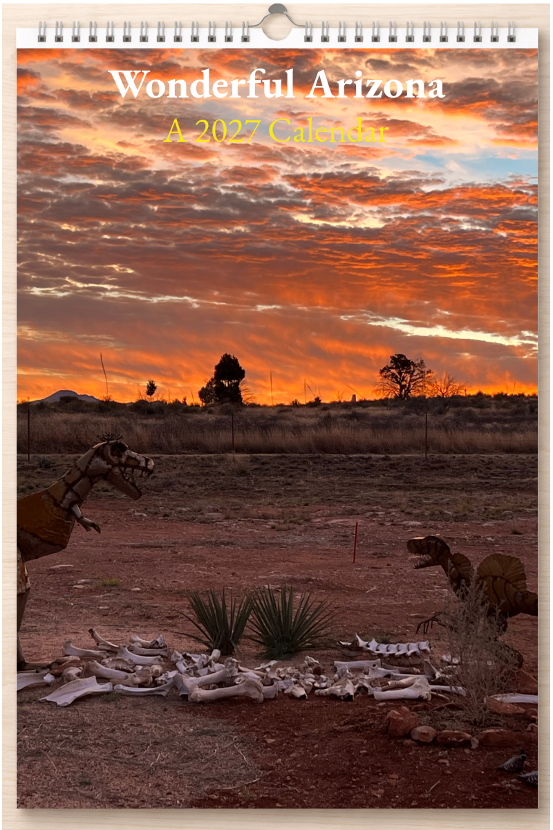 Wonderful Arizona: A 2027 Calendar