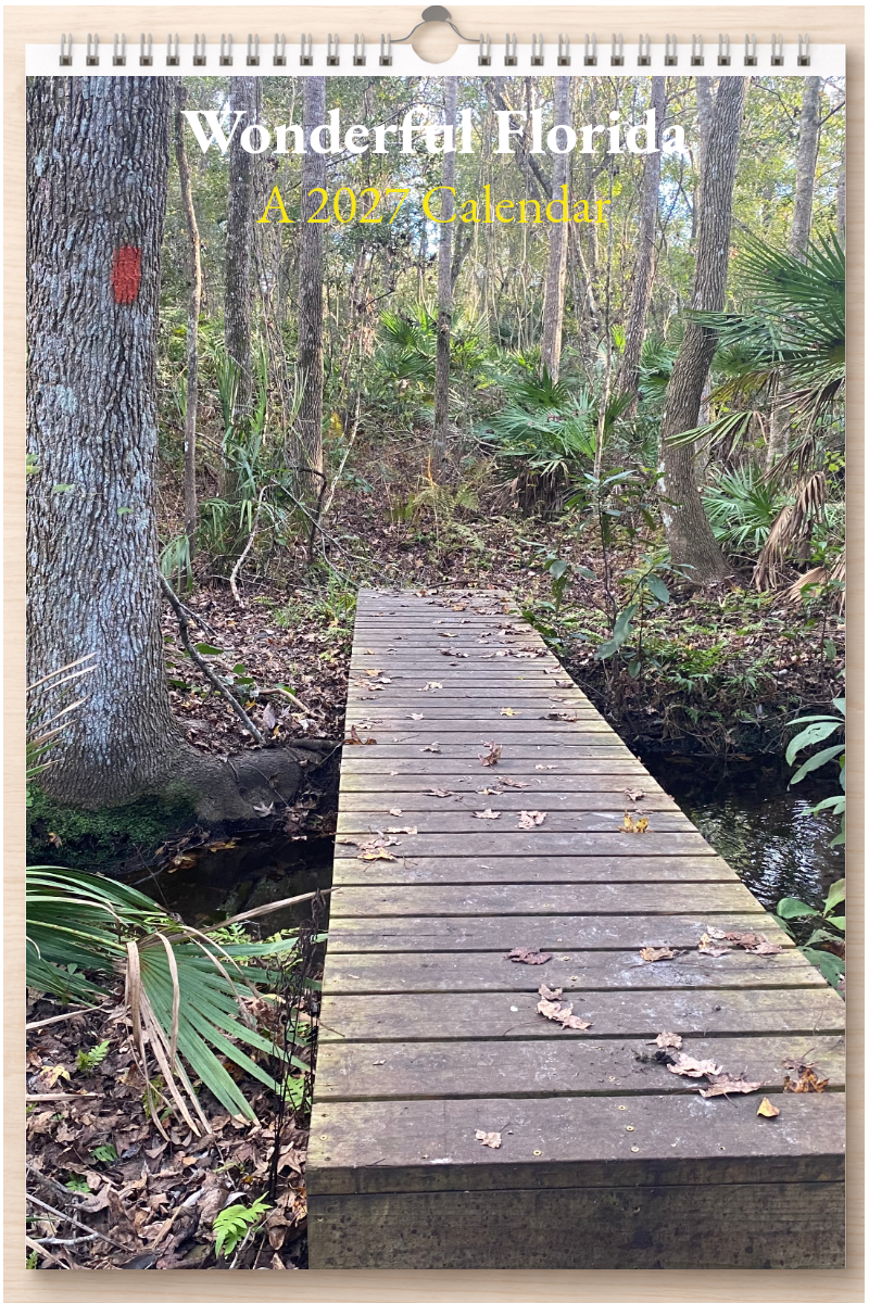 Wonderful Florida: A 2027 Calendar