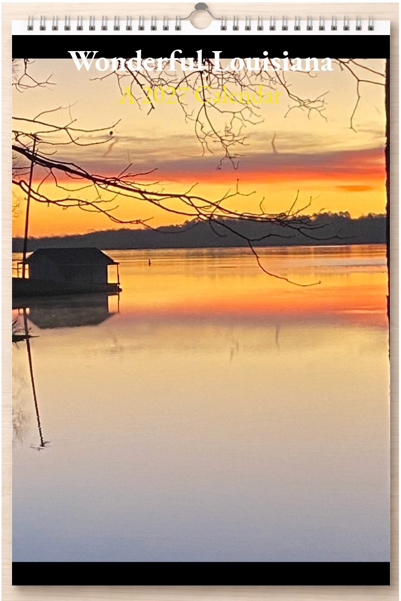 Wonderful Louisiana: A 2027 Calendar