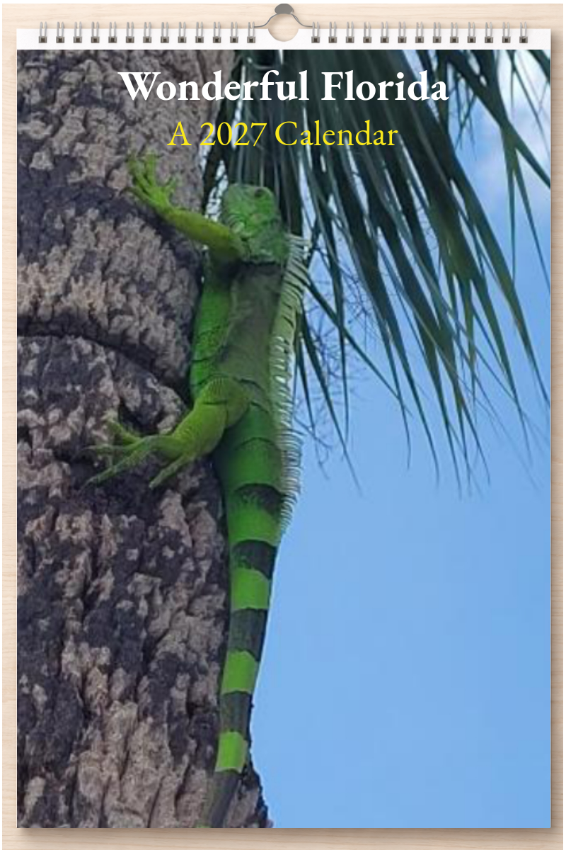 Wonderful Florida: A 2027 Calendar