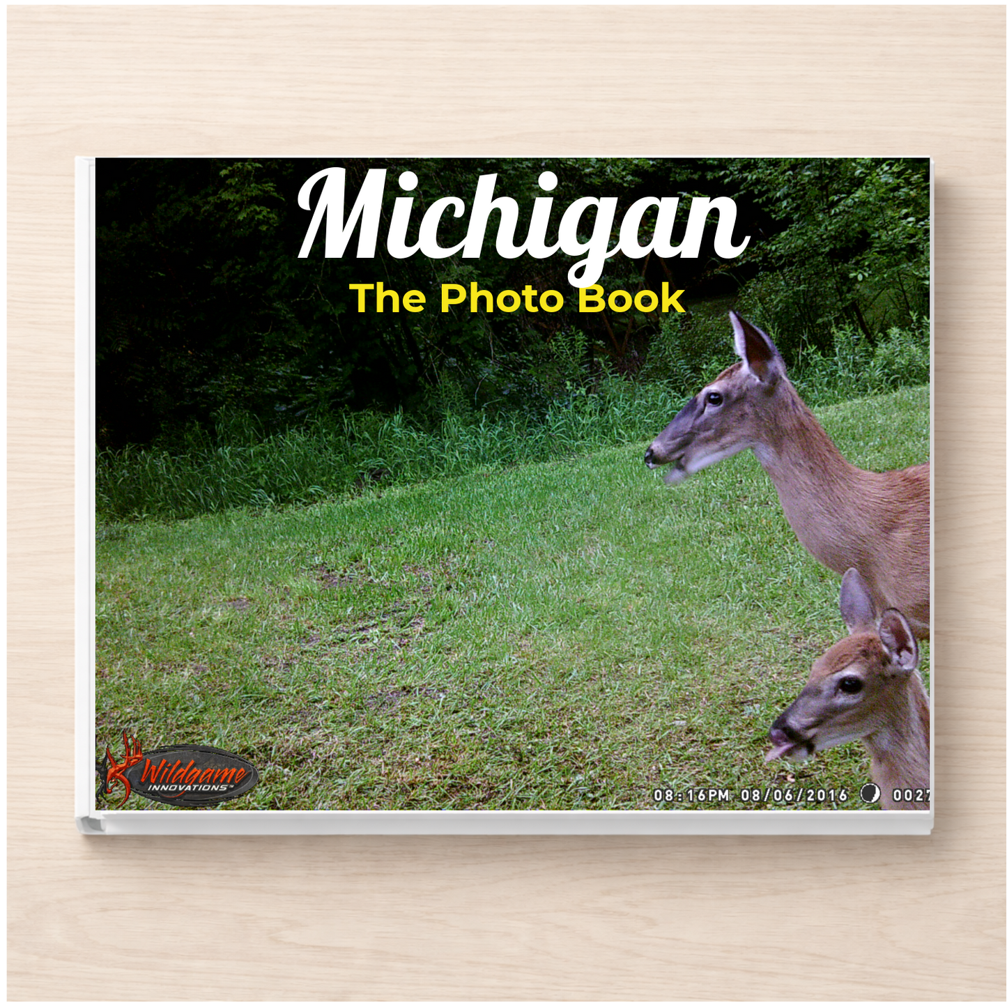 Michigan: The Photo Book