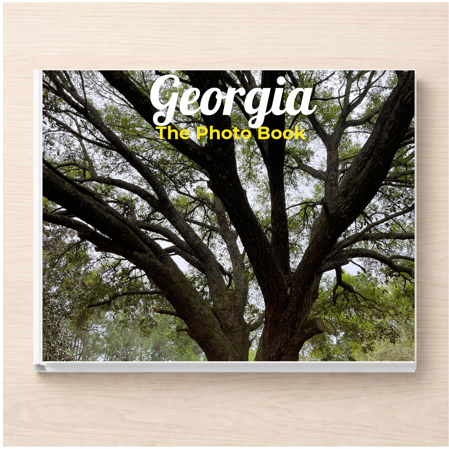 Georgia: The Photo Book