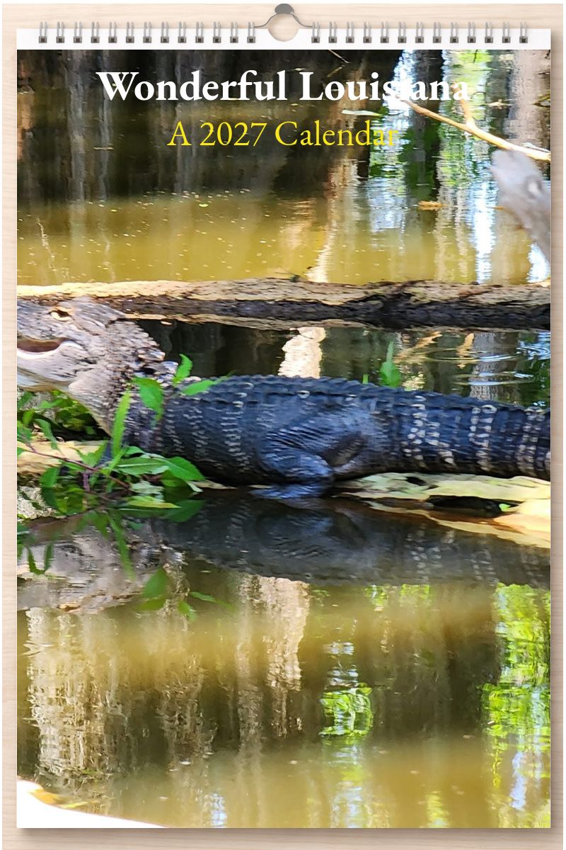 Wonderful Louisiana: A 2027 Calendar