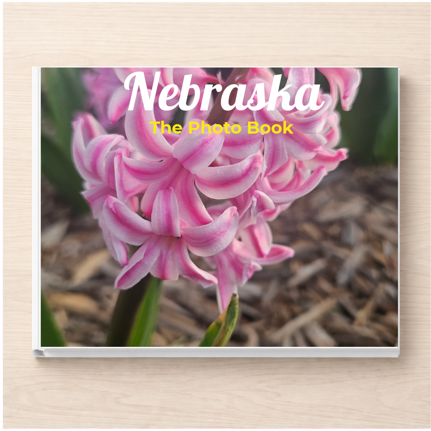 Nebraska: The Photo Book