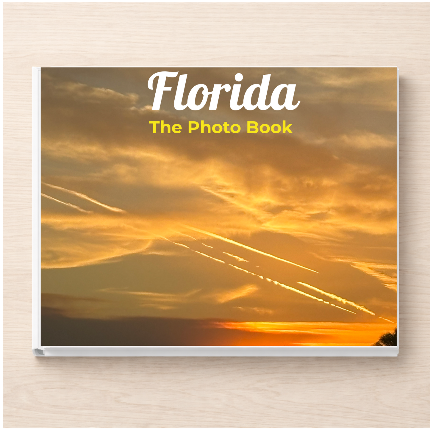 Florida: The Photo Book