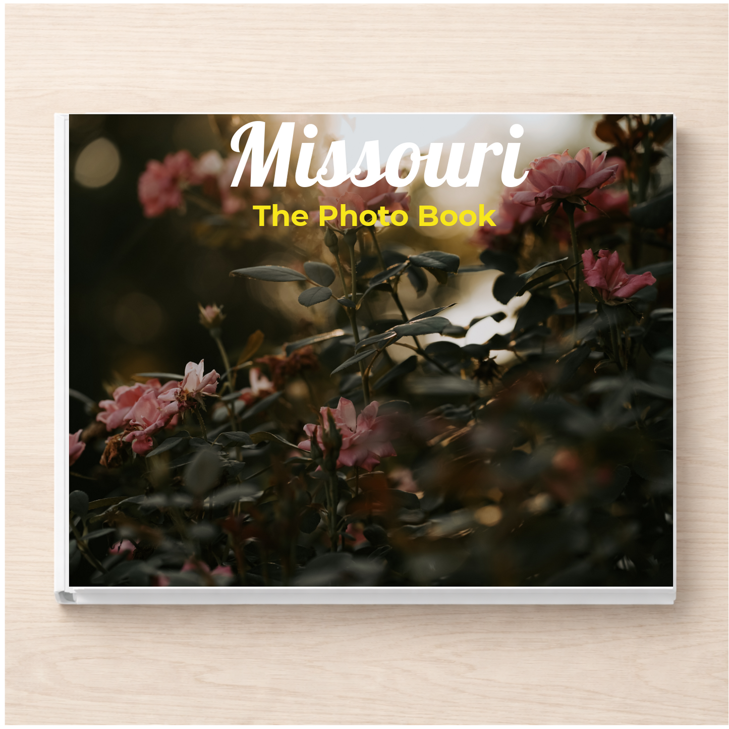 Missouri: The Photo Book