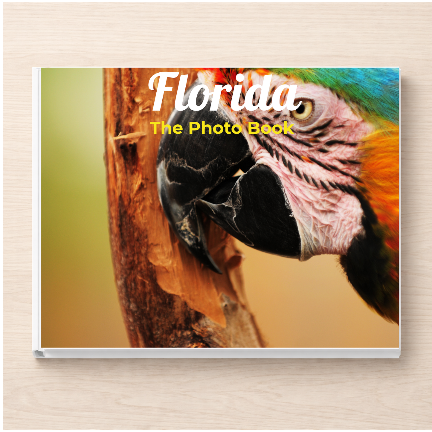 Florida: The Photo Book