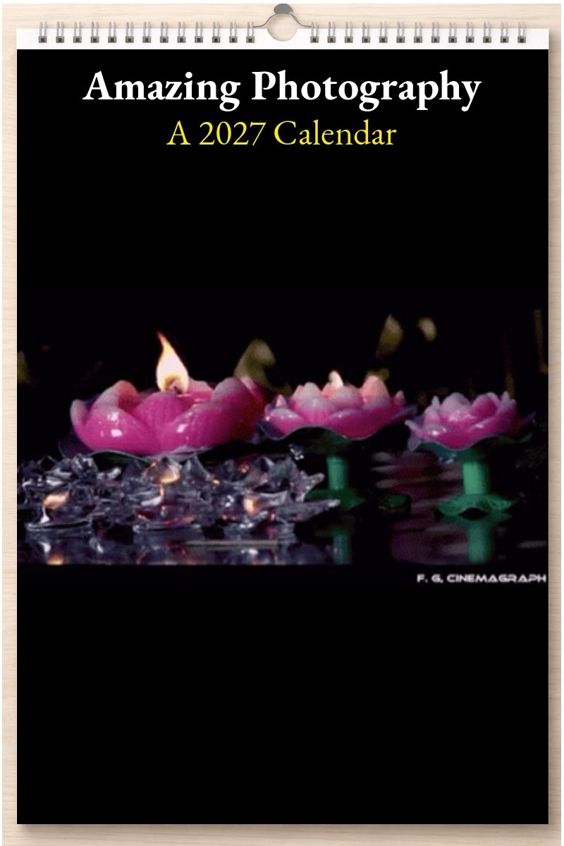 Amazing Photography: A 2027 Calendar