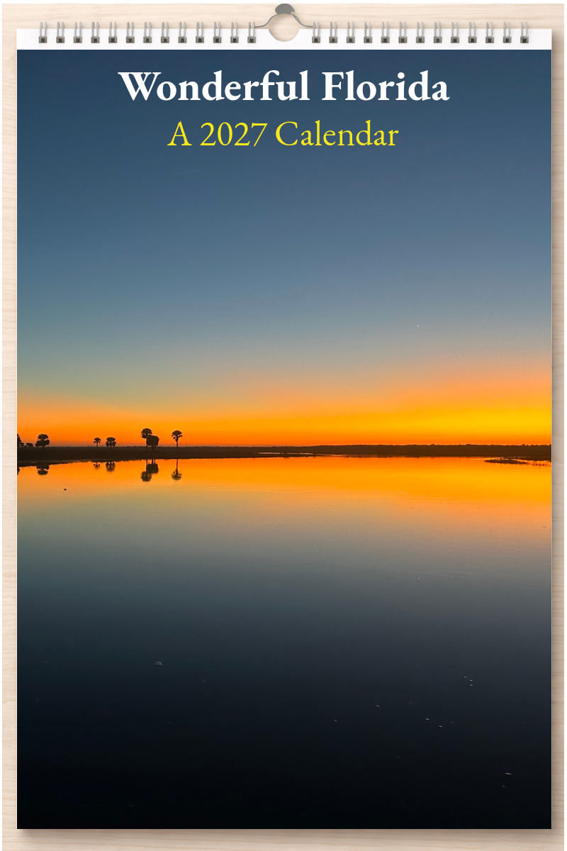 Wonderful Florida: A 2027 Calendar