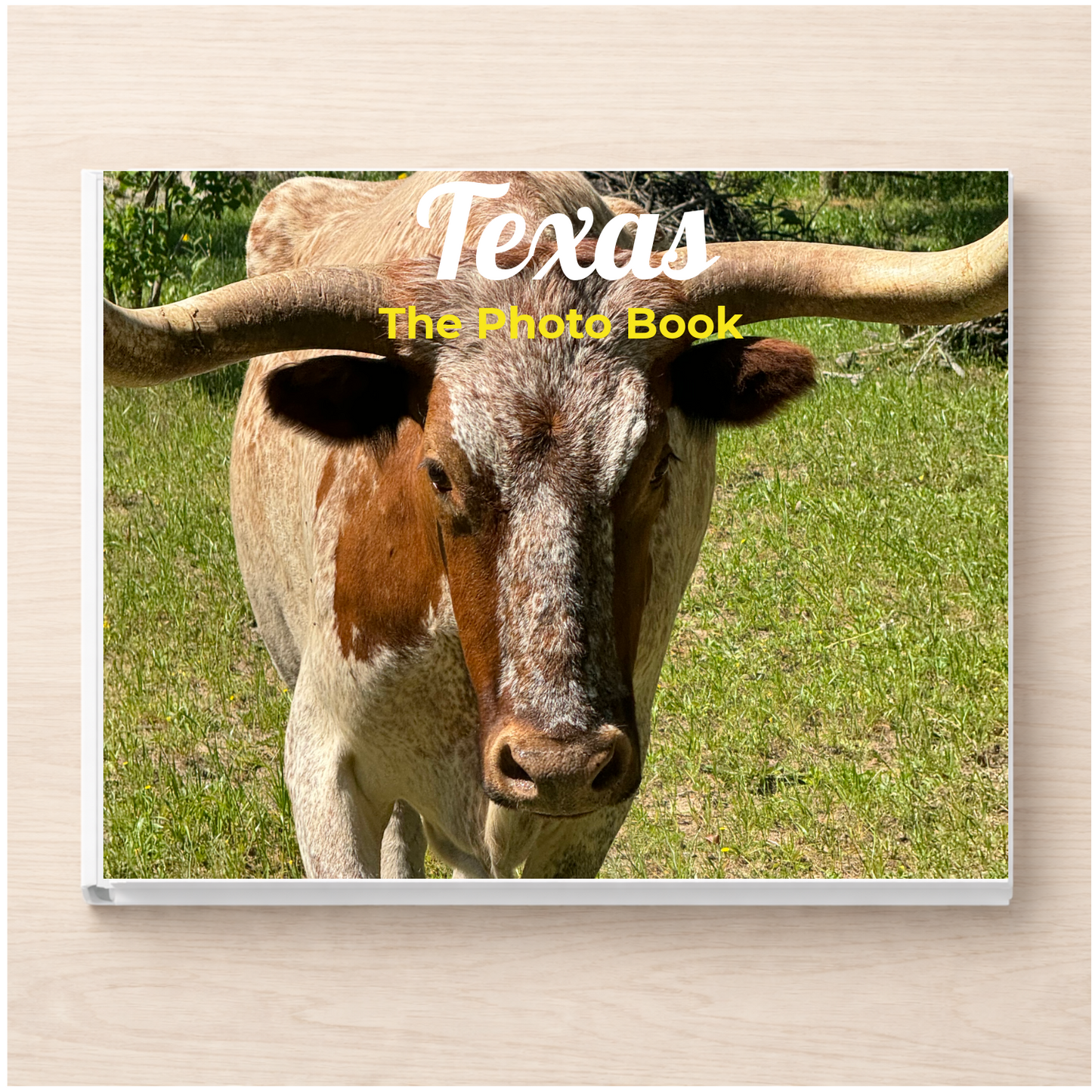 Texas: The Photo Book