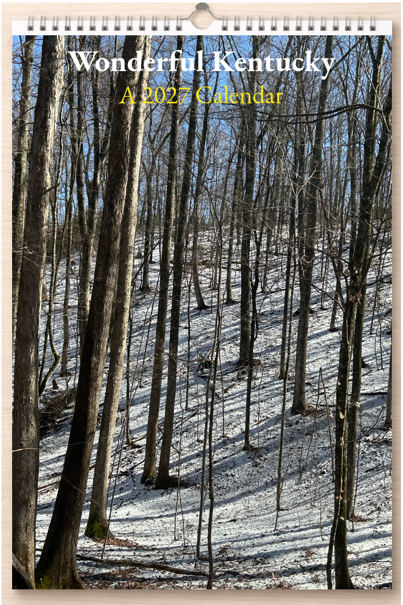 Wonderful Kentucky: A 2027 Calendar