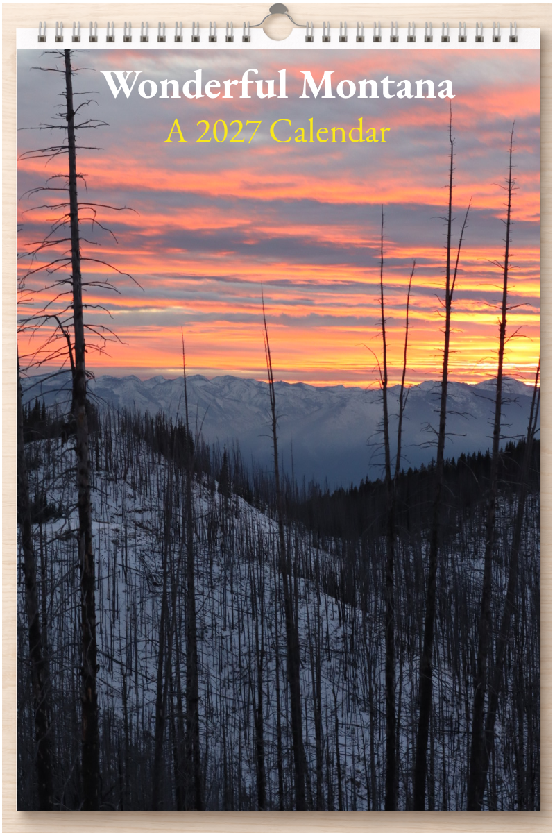 Wonderful Montana: A 2027 Calendar