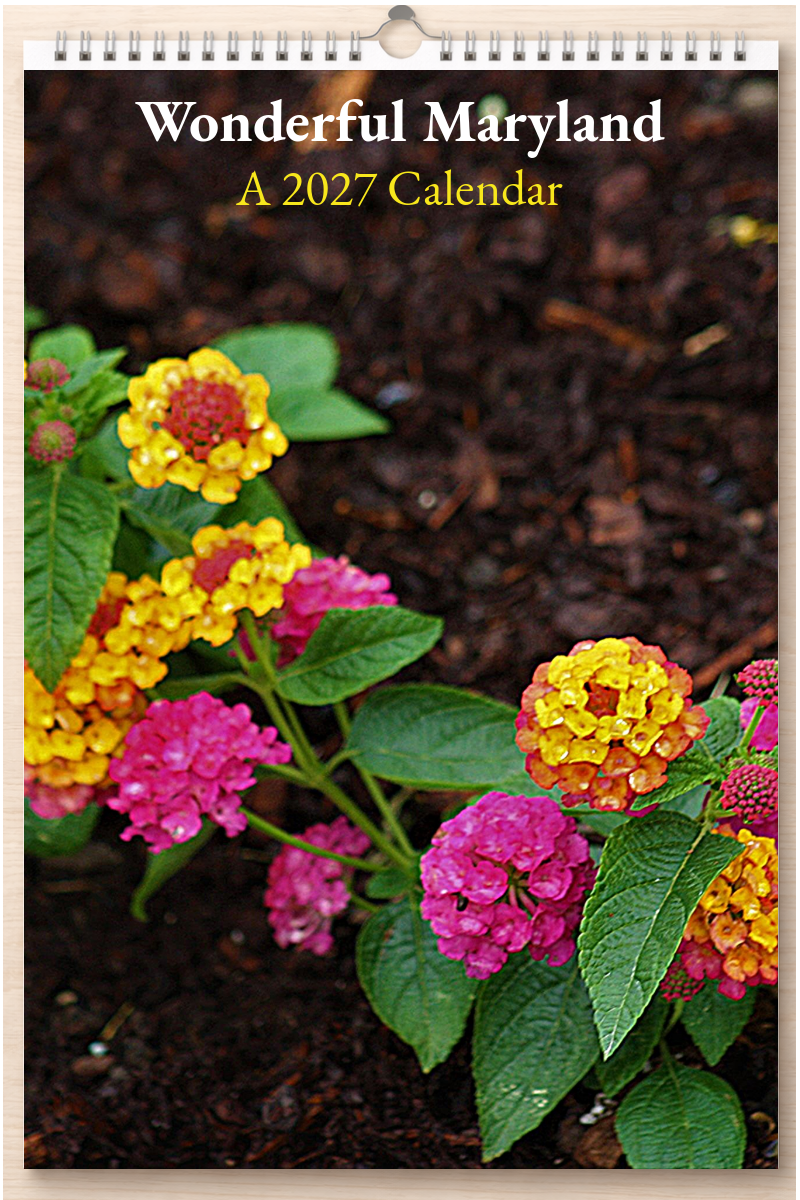 Wonderful Maryland: A 2027 Calendar