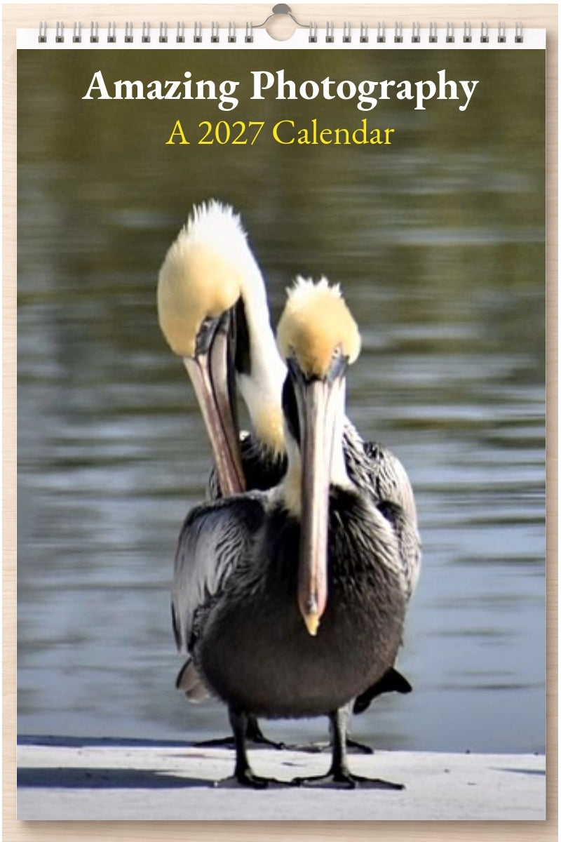 Amazing Photography: A 2027 Calendar