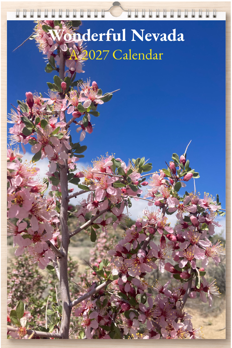Wonderful Nevada: A 2027 Calendar