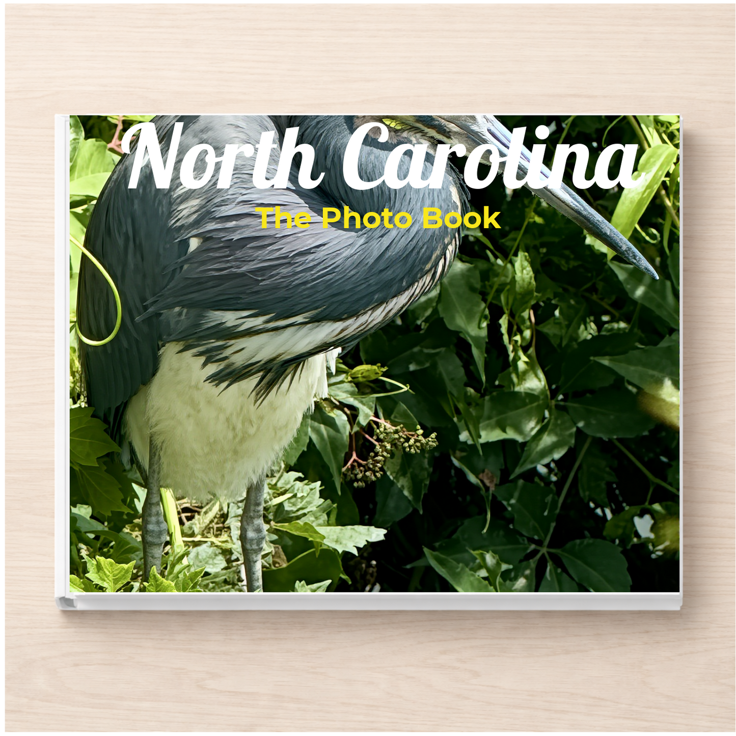 North Carolina: The Photo Book