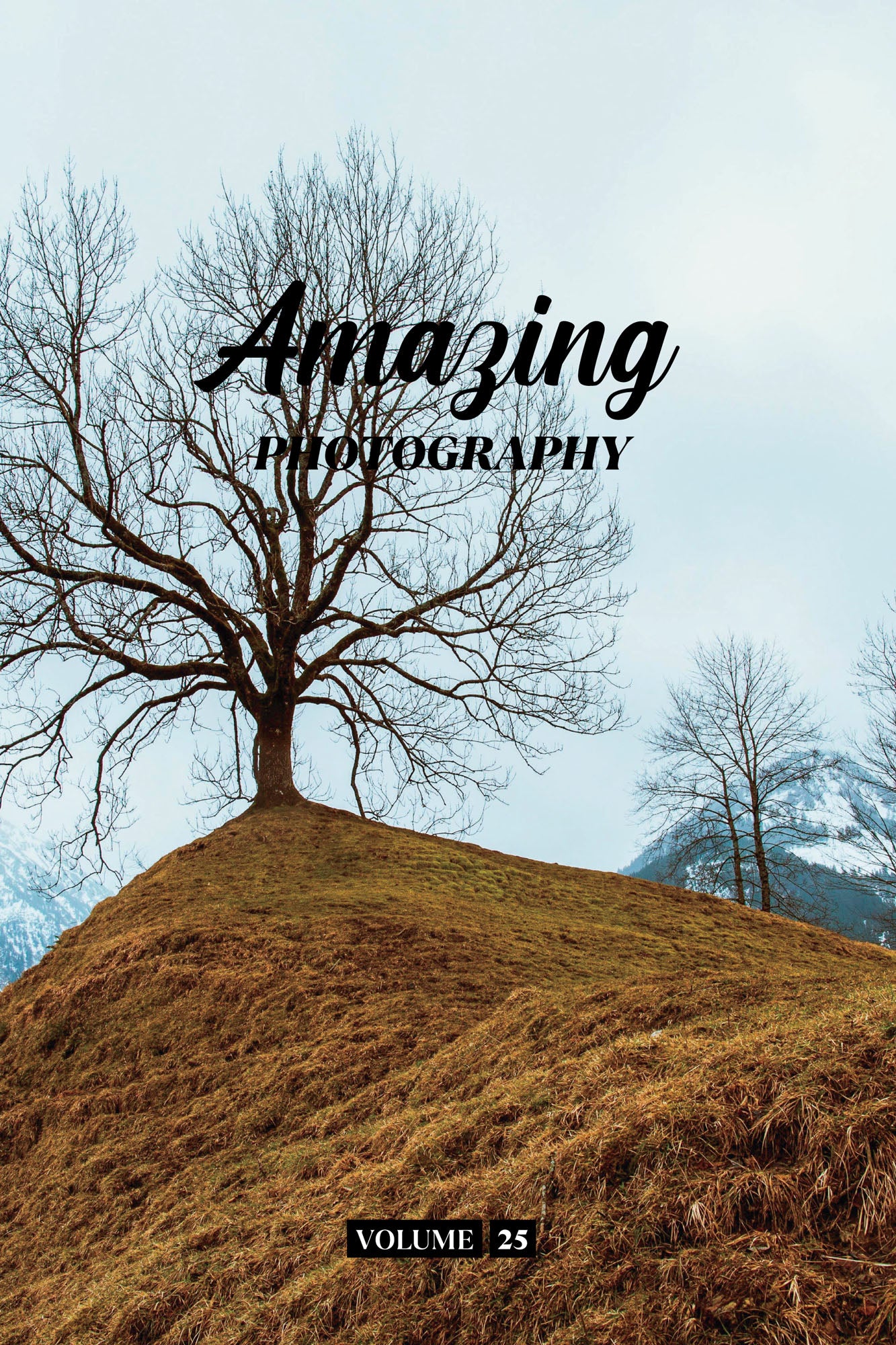 Amazing Photography Volume 25 (Physical Book Pre-Order)