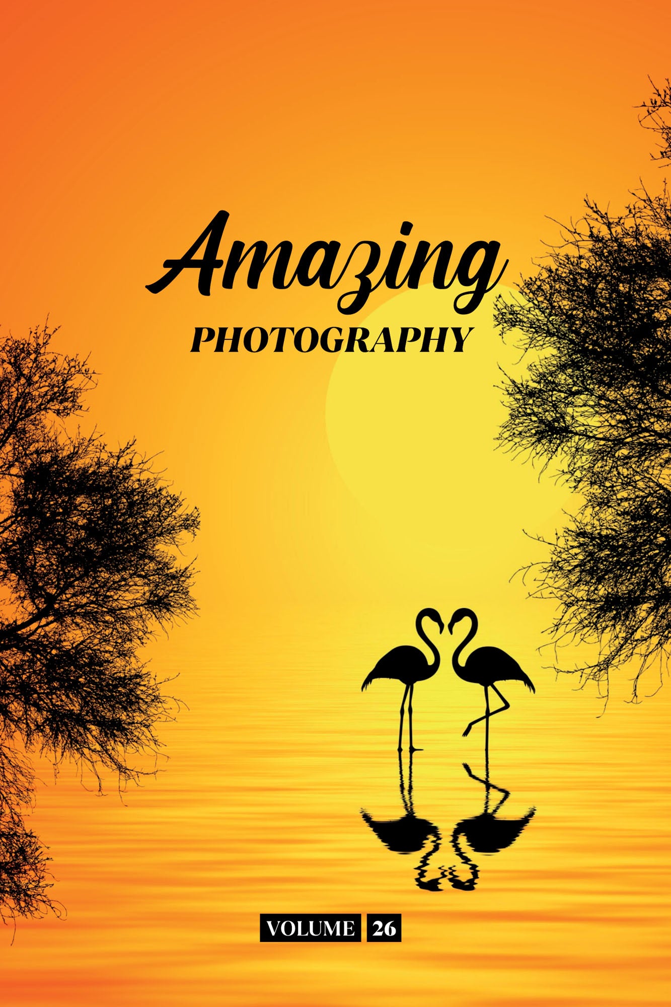 Amazing Photography Volume 26 (Physical Book Pre-Order)